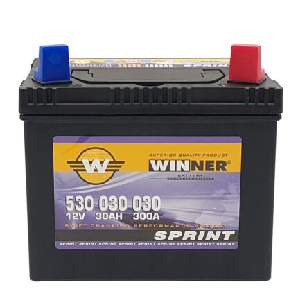 Winner Battery