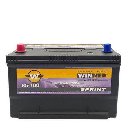 Winner Battery
