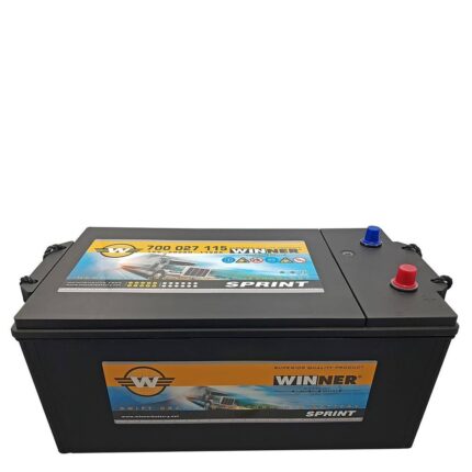 Winner Battery