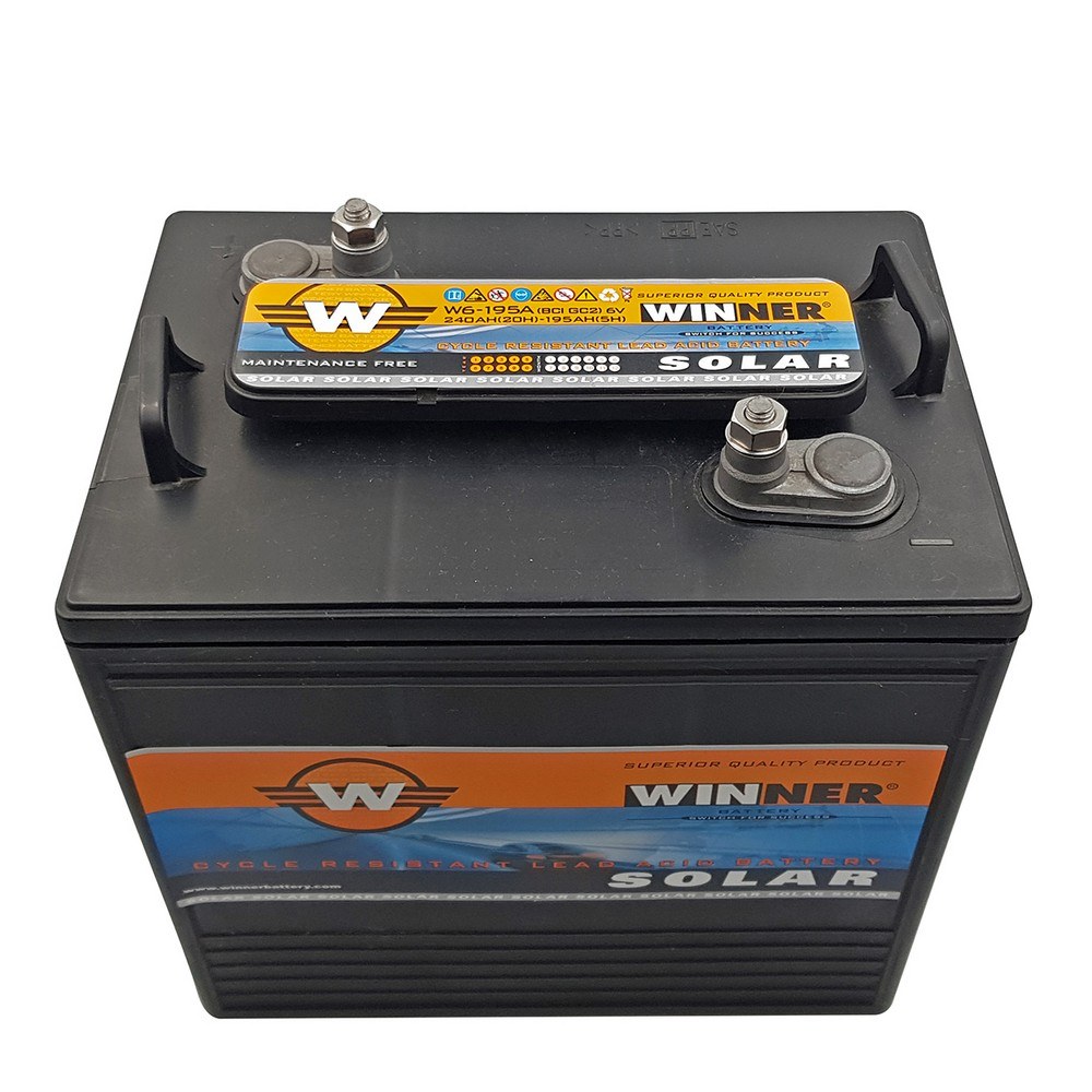 20-W6-195A-20210122_121715 Winner Battery
