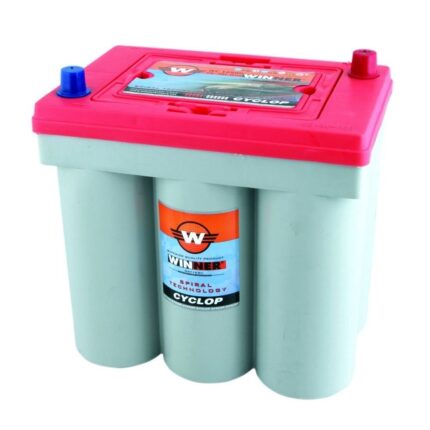 Winner Battery