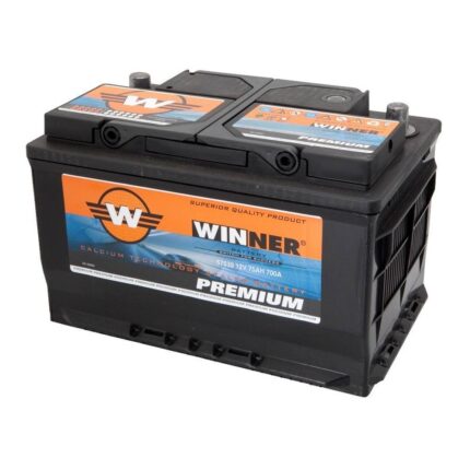 Winner Battery